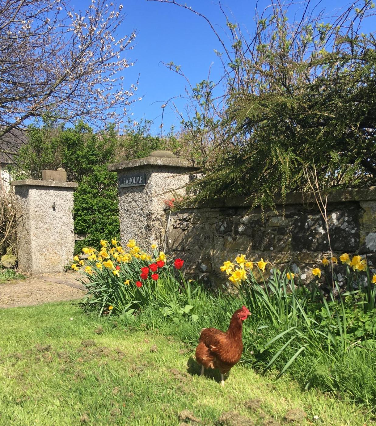 Leaholme Cottage - Fabulous Coastal Cottage For 8 Newton-by-the-Sea Exterior photo